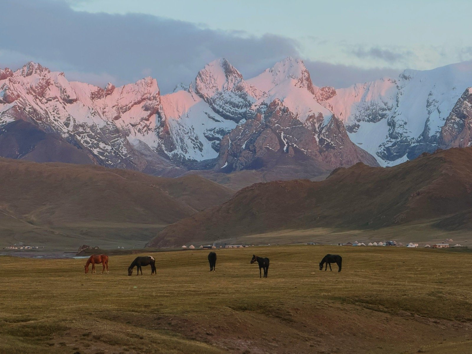 Horses grazing in the At-Bashy valley, Naryn horse riding tour